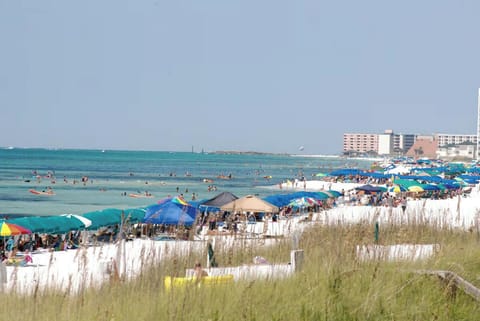 On the Beach!