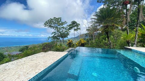 Pool with a View