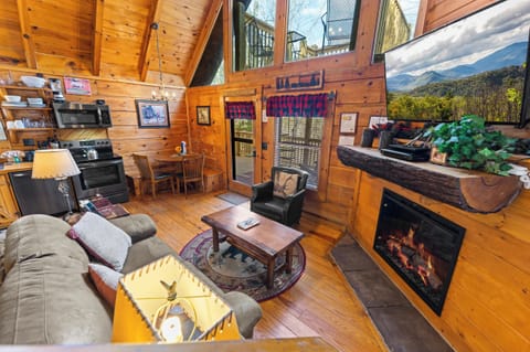 Living area with electric fireplace, TV, and cozy seating 
