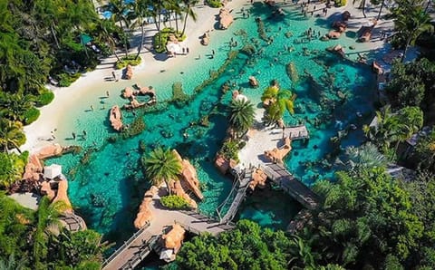 Discovery Cove is unlike any other amusement park, it is part aquarium and part waterpark, where the whole family can spend the day relaxing in the water and snorkeling with tropical fish