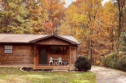 Cabin 1