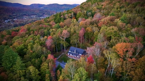 Vermont Foliage