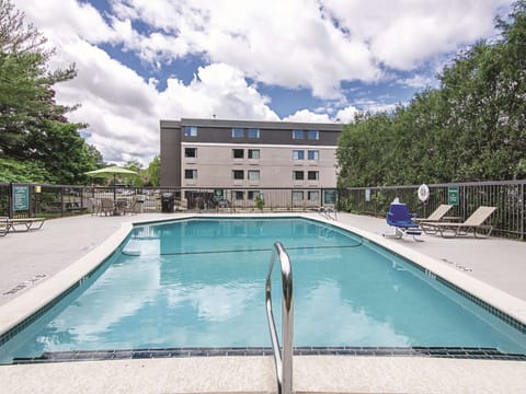 Dive into sunny poolside relaxation with comfortable loungers.