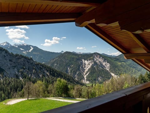 Vacation apartment Adlerhorst - with half board - Irxnerhof - Vacation on a farm Farm Stay in Schladming