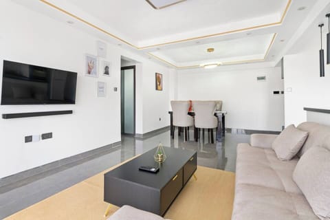 The Modern Living room
