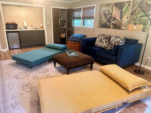 Fold out Single Chair/Beds