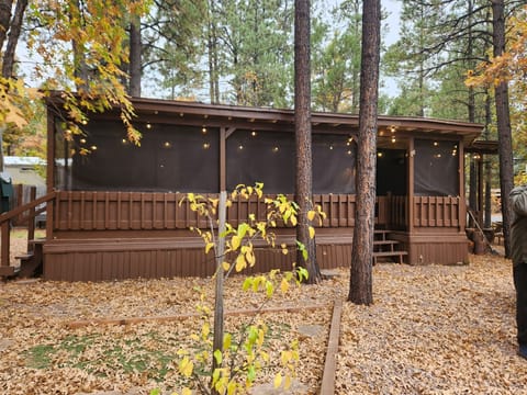 Large screened porch 