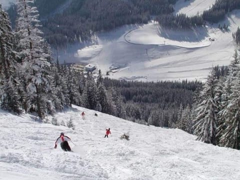 Region [winter] (>5 km)