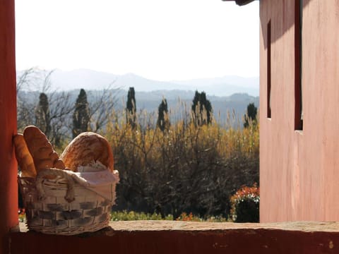 View from Holiday Home [summer]