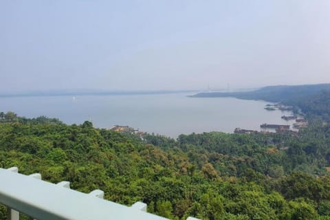 Region [summer] (>5 km)