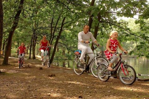 Immediate Surroundings [summer] (<1 km)