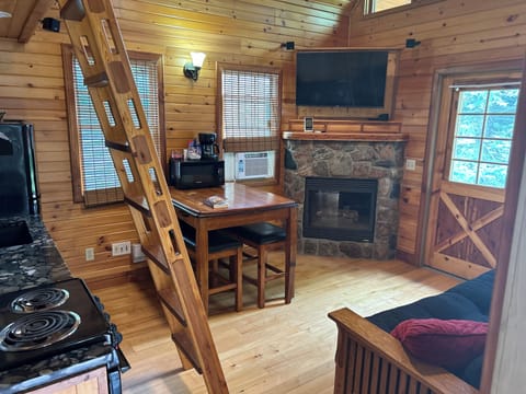 Tiny house living space and kitchen