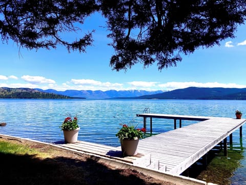 private dock with direct lake access