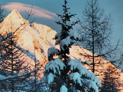 Vacation apartment Hohe Wand - Mountain view Apartment in Carinthia, Austria