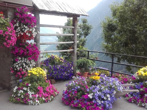 Vacation apartment Hohe Wand - Mountain view Apartment in Carinthia, Austria