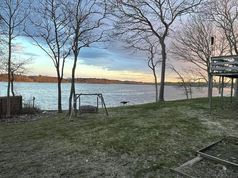 Backyard - pond view 