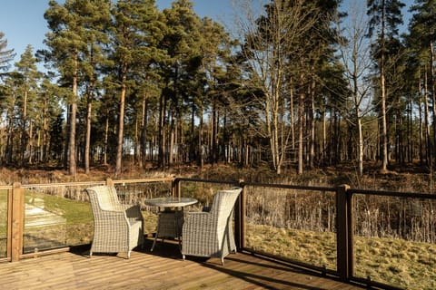View into Woodland - Winter