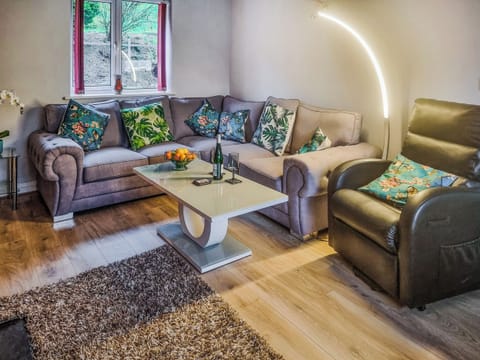 Living area | Carey Meadows, Beaworthy