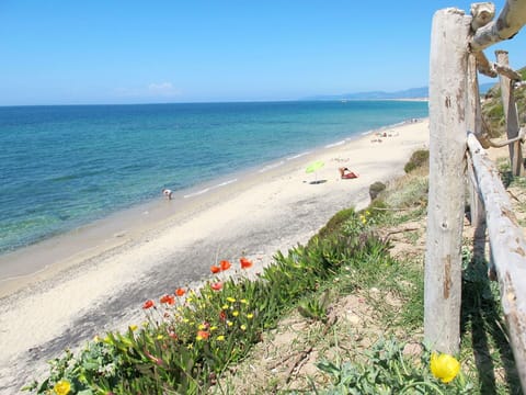 Blue, Sky, Body Of Water, Beach, Coast, Horizon, Sea, Summer, Coastal And Oceanic Landforms, Shore