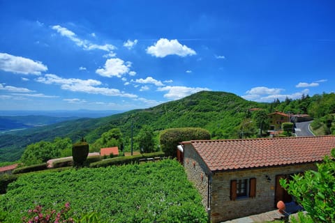 Outdoor, Scenic View