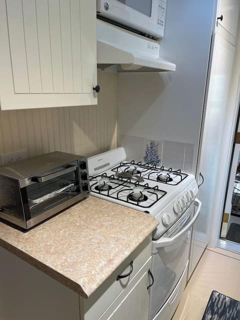 Gas stove and toaster oven. Other appliances-waffle maker, blender, mixer, drip coffee maker, Keurig single serve coffee maker and crock pot. 