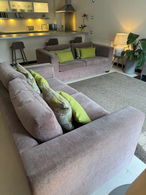 Living room /kitchen