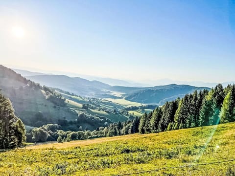 Sky, Mountainous Landforms, Mountain, Green, Hill, Nature, Tree, Natural Landscape, Grass, Highland