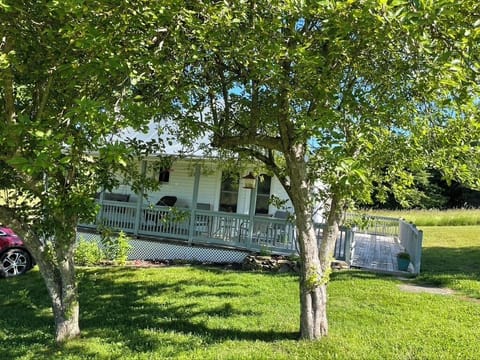 Summer at the cottage