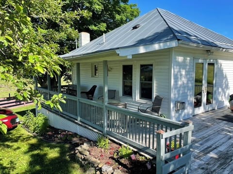 Summer in Blue Grass