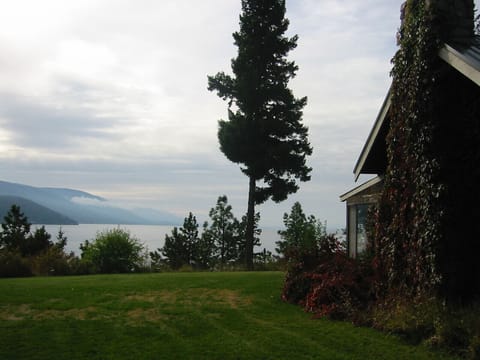 Yard for BBQs and yard games