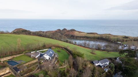 Whimbrels And Watermouth Cove Harbour