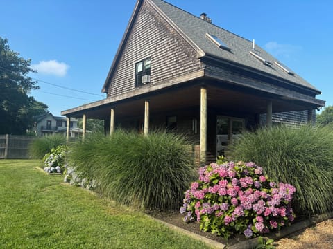 Outside with grasses and hydrangea in bloom