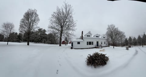 Snow scape