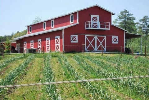 This is the main barn. This is not accomodation.