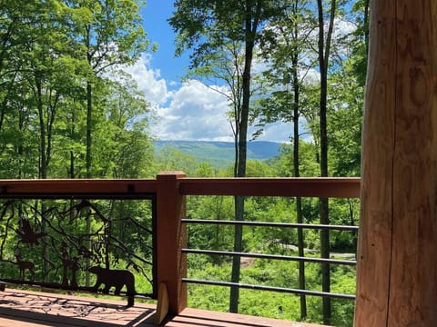 Mountain View from Patio
