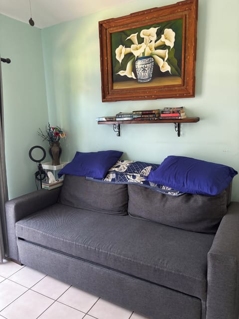 2nd Bedroom a queen size sofa bed plus a desk and flatscreen office.