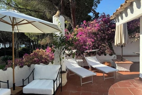 Terrace in the top 
