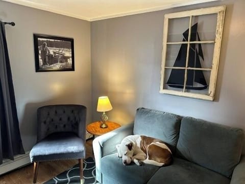 Living Room, Dog not included
