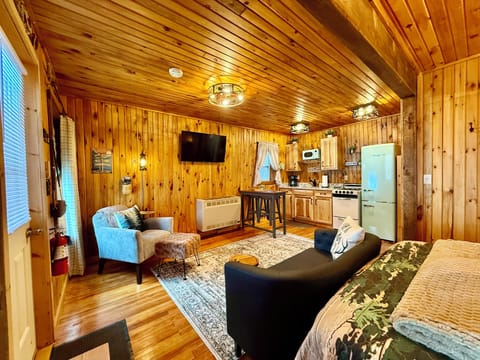 View from the bedroom area into the living room space.