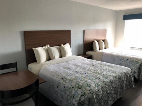 Unwind in plush beds with warm afternoon light streaming.