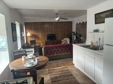 Dining, kitchen, and living area. Roku tv, and pull out couch.