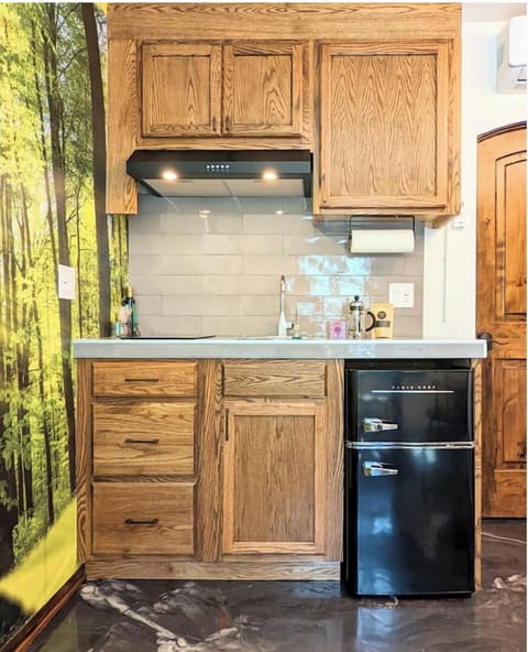 Suite 1 Kitchenette has an induction cooktop, microwave, toaster oven, and more.