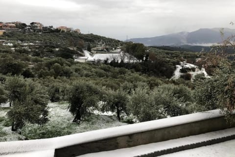 Region [summer] (>5 km)