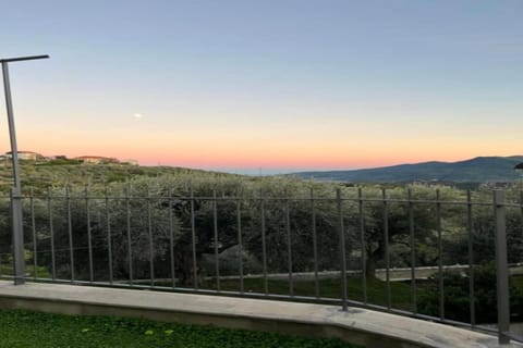 Region [summer] (>5 km)