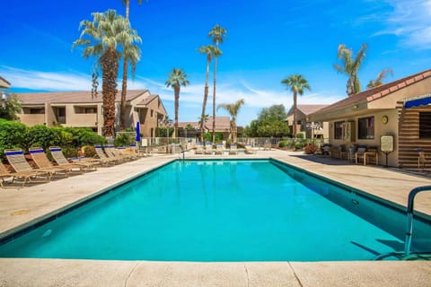Resort-style community pool with loungers and sunshine