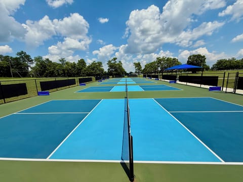 Serve, rally, repeat!