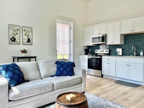Living Area with Pull out couch