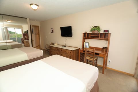 2 Queen beds