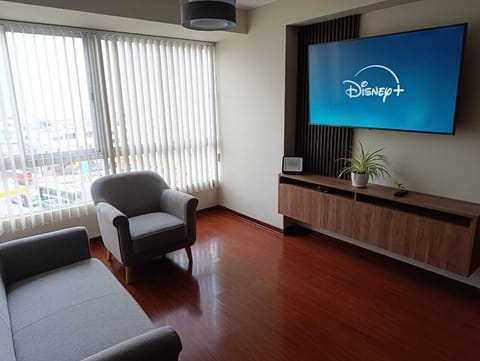 You can watch Netflix, Disney+, Amazon and Apple TV