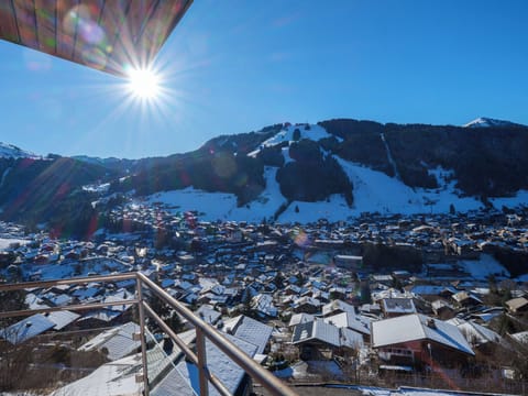View across to the Pleney mountain from the  balcony